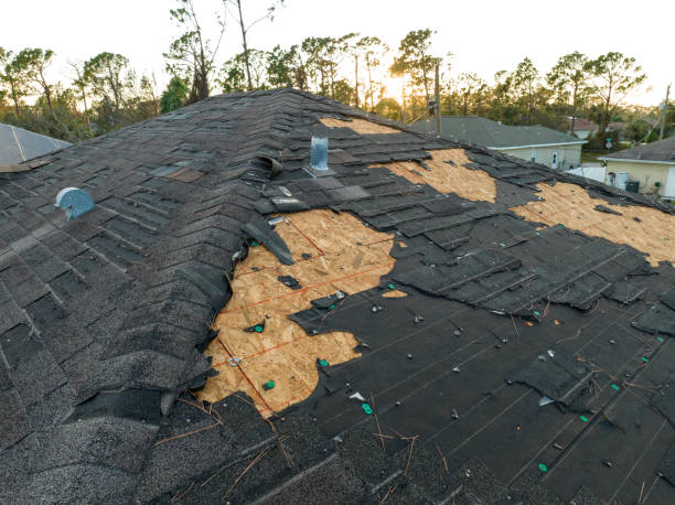 Best Roof Moss and Algae Removal  in Perryman, MD